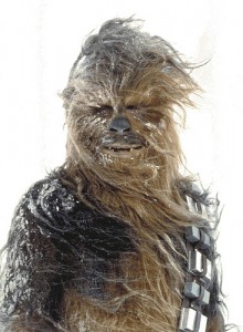 Chewie on hoth